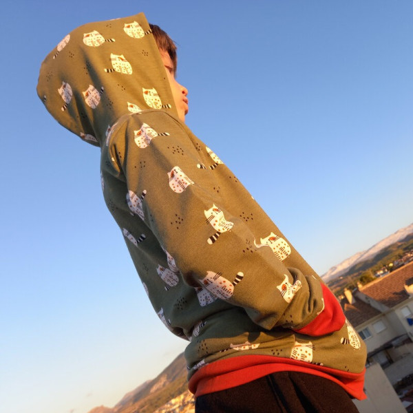 Sudadera de algodón orgánico Gatos