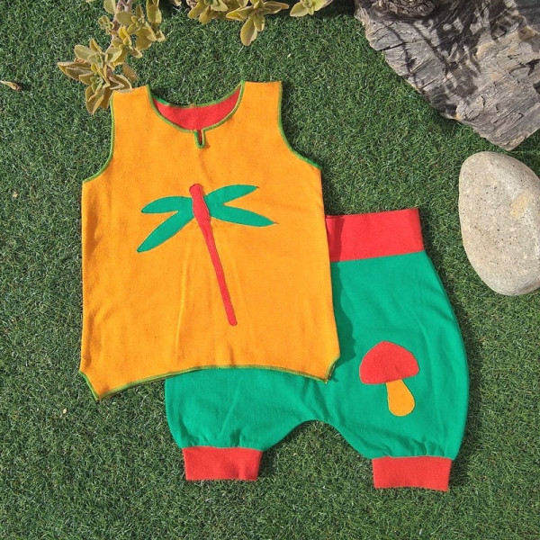 Conjunto ecológico Libélula